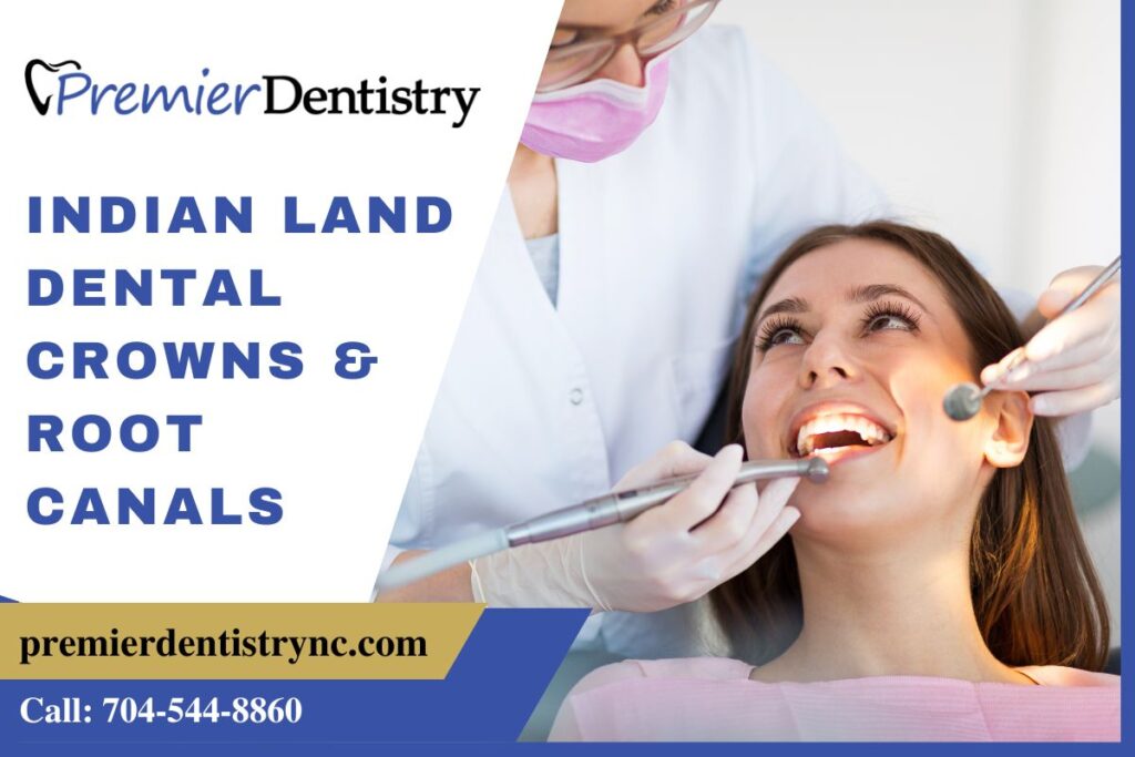 Elevate Your Smile with Premier Dentistry's SameDay Dental Crowns and Expert Care in